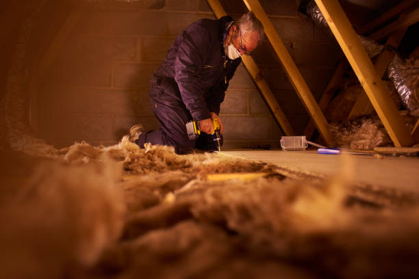 Professional Insulation Services in Kachina Village, AZ